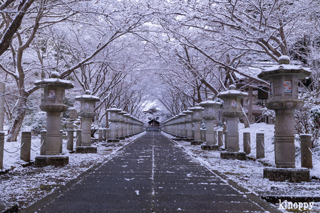 高山寺 雪景色
