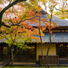 湯布院 金鱗湖 秋景色 5
