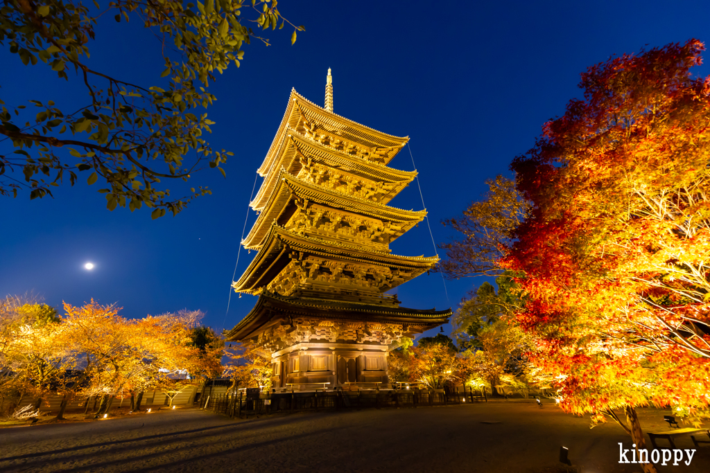 東寺 紅葉 5