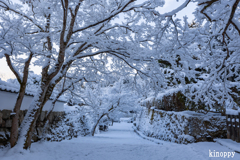 三千院門前 雪景色 2