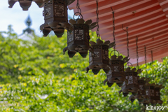 壷阪寺 あぢさゐ回廊 10