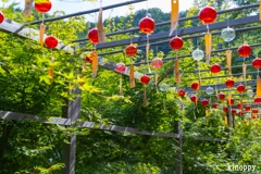正寿院 風鈴 9