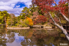 神戸森林植物園 紅葉 3