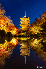 東寺 ライトアップ
