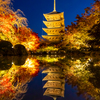 東寺 ライトアップ