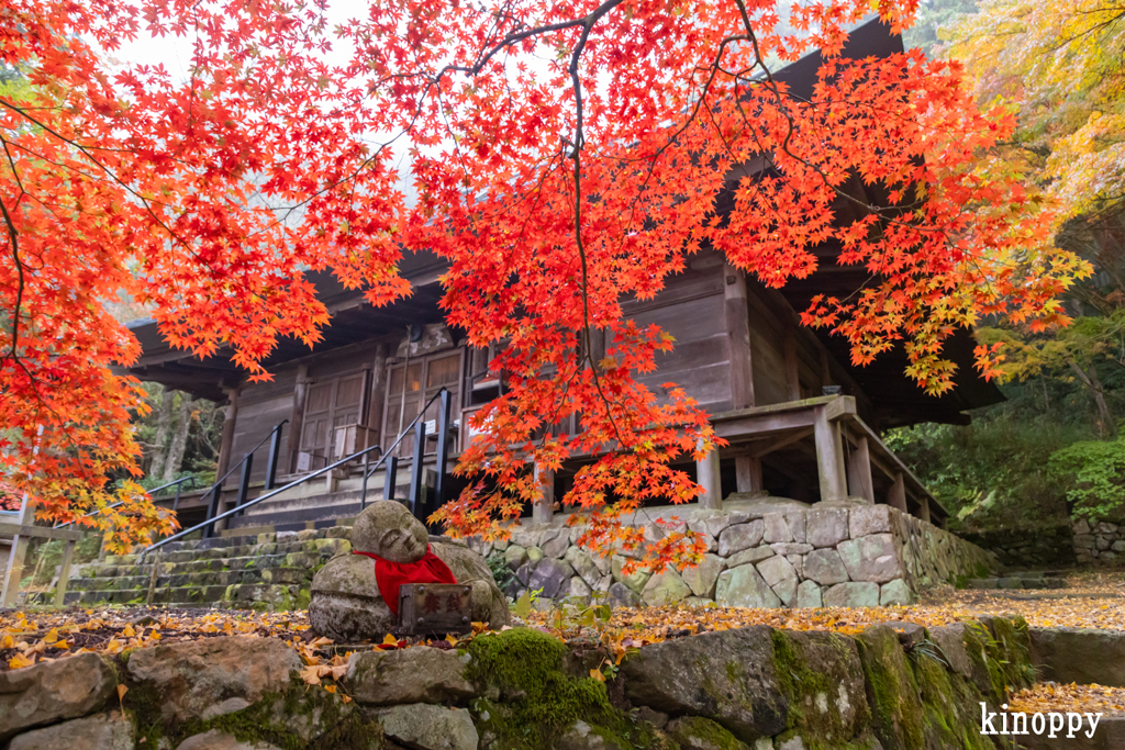 大国寺 紅葉