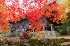 大国寺 紅葉