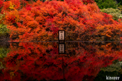 安国寺 紅葉 2