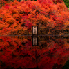 安国寺 紅葉 2