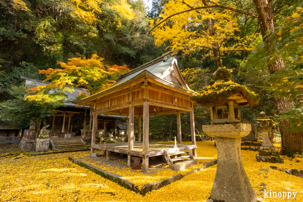 岩戸落葉神社 紅葉 2