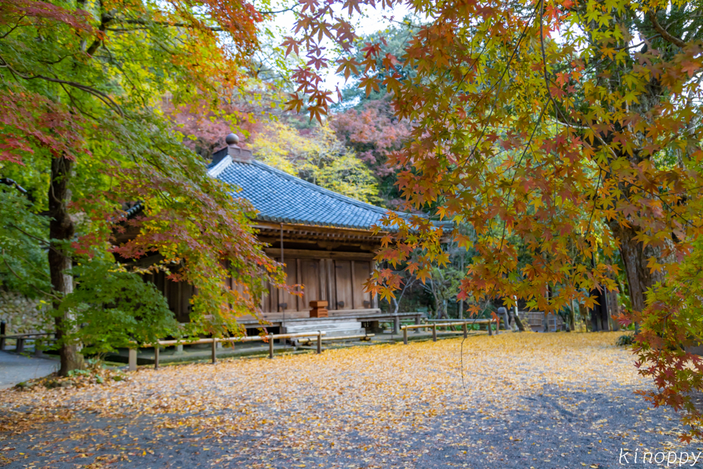 富貴寺 紅葉 2