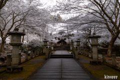 高山寺 冬景色 2