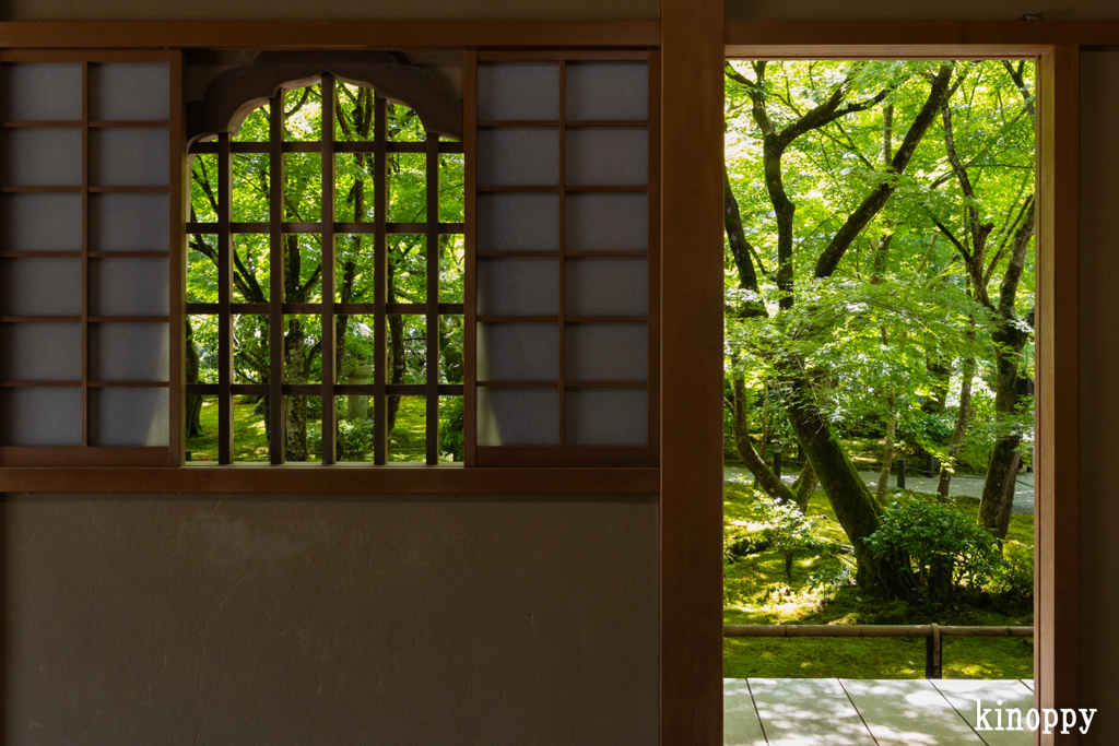 圓光寺 新緑 4