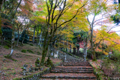 高源寺 紅葉 5