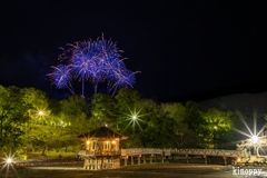 奈良公園バースデー花火 3