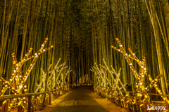 嵐山月灯路 2