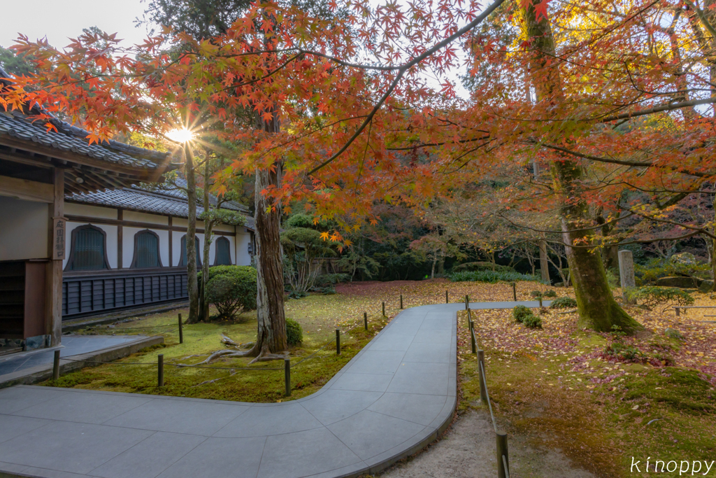 清水寺本坊庭園 紅葉