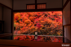安国寺 紅葉 3