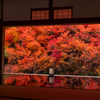 安国寺 紅葉 3