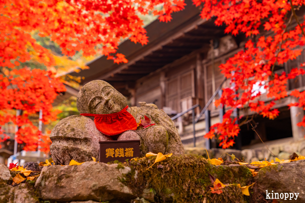 大国寺 紅葉 2