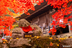 大国寺 紅葉 2