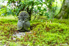 圓光寺 新緑 8