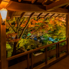 姫路城 好古園 紅葉 ライトアップ 7
