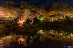 成相寺 ライトアップ 4