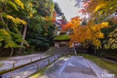 法然院 紅葉 5