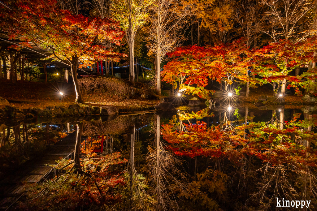 多可町余暇村公園 ライトアップ 3