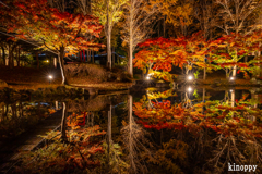 多可町余暇村公園 ライトアップ 3