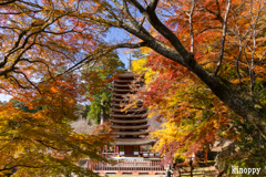 談山神社 紅葉 3