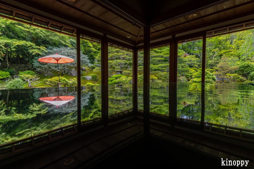 旧竹林院 新緑
