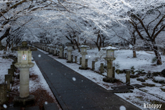 高山寺 雪景色 2