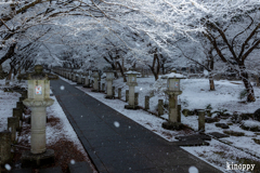 高山寺 雪景色 2