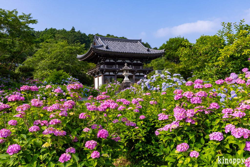 丹州観音寺
