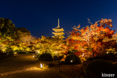 東寺 紅葉 2