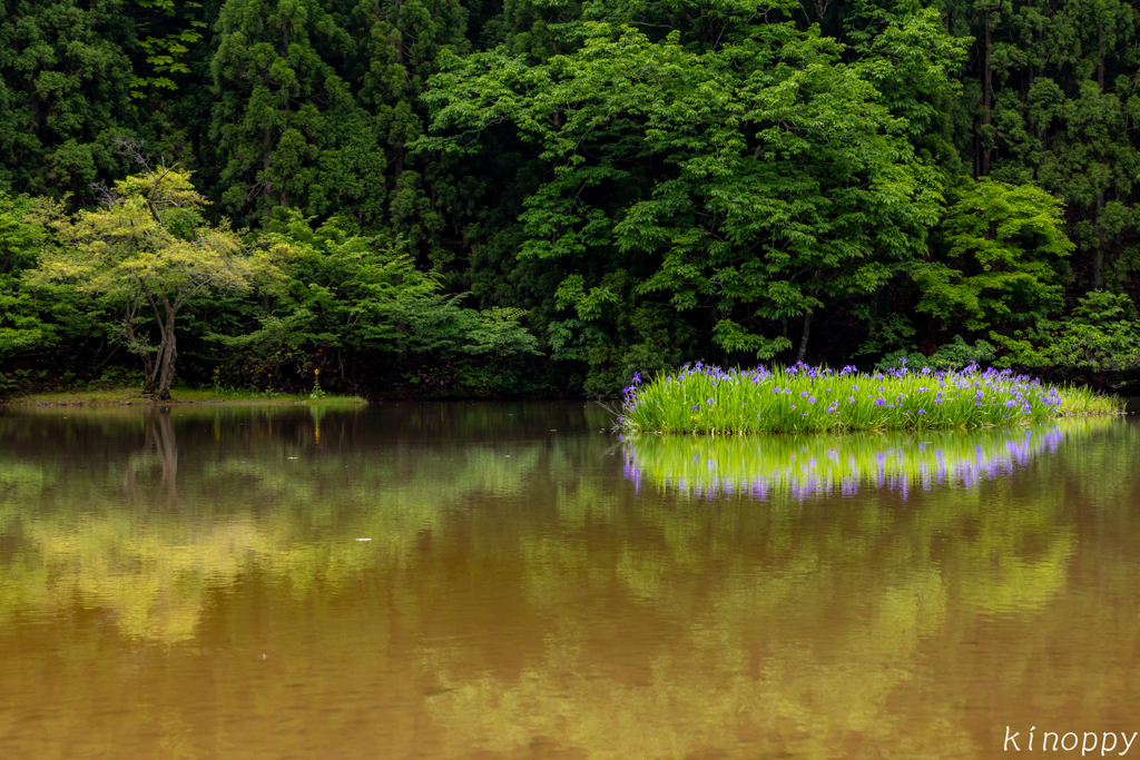 平池