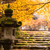 高源寺 紅葉 9
