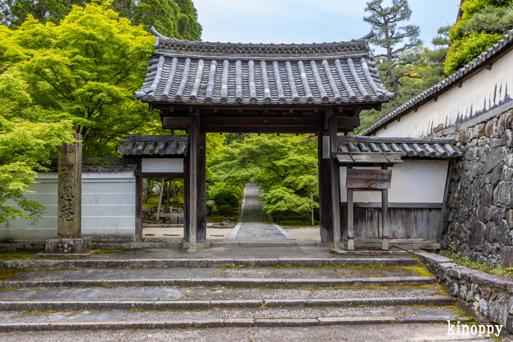 酬恩庵一休寺 新緑