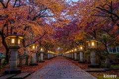 高山寺 紅葉 5