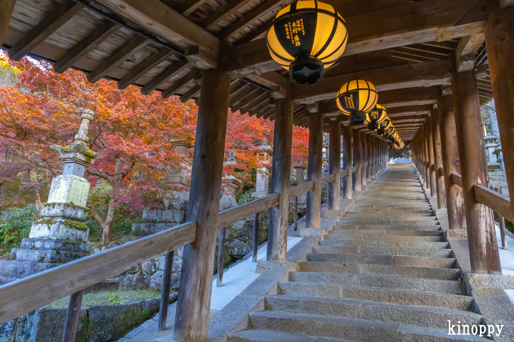長谷寺 紅葉 6