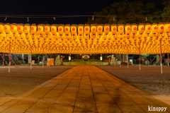 姫路護國神社 新年万灯祭 2