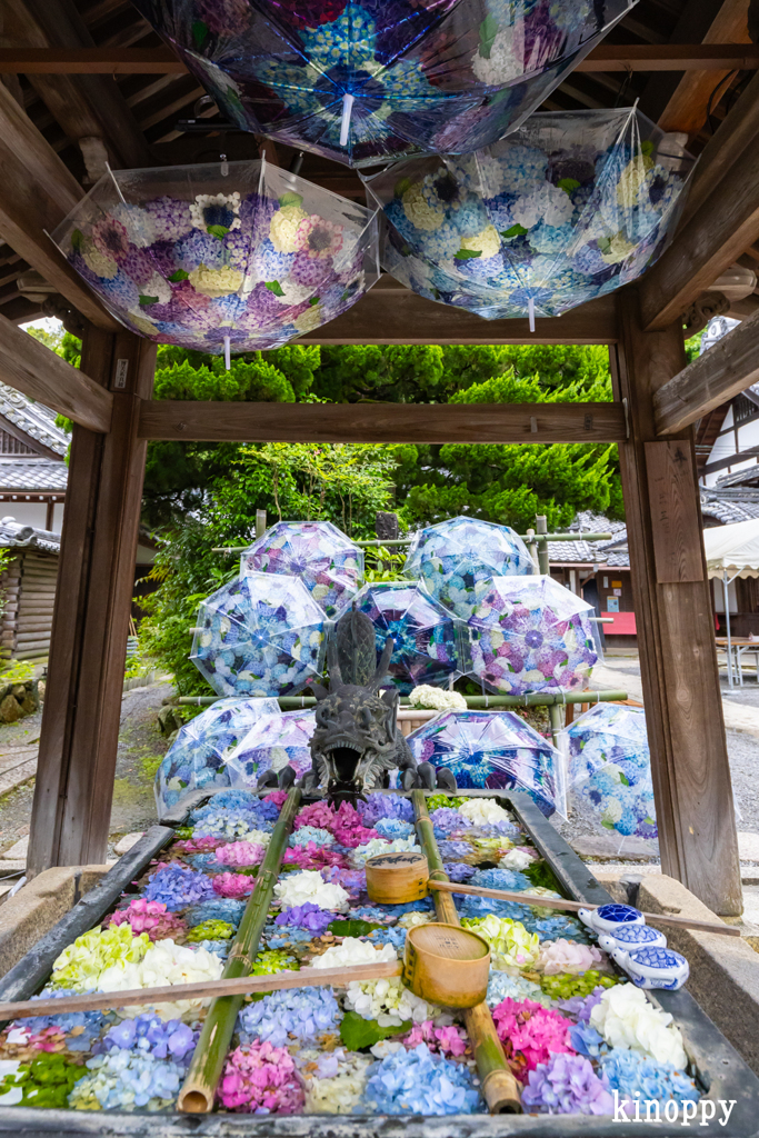柳谷観音楊谷寺