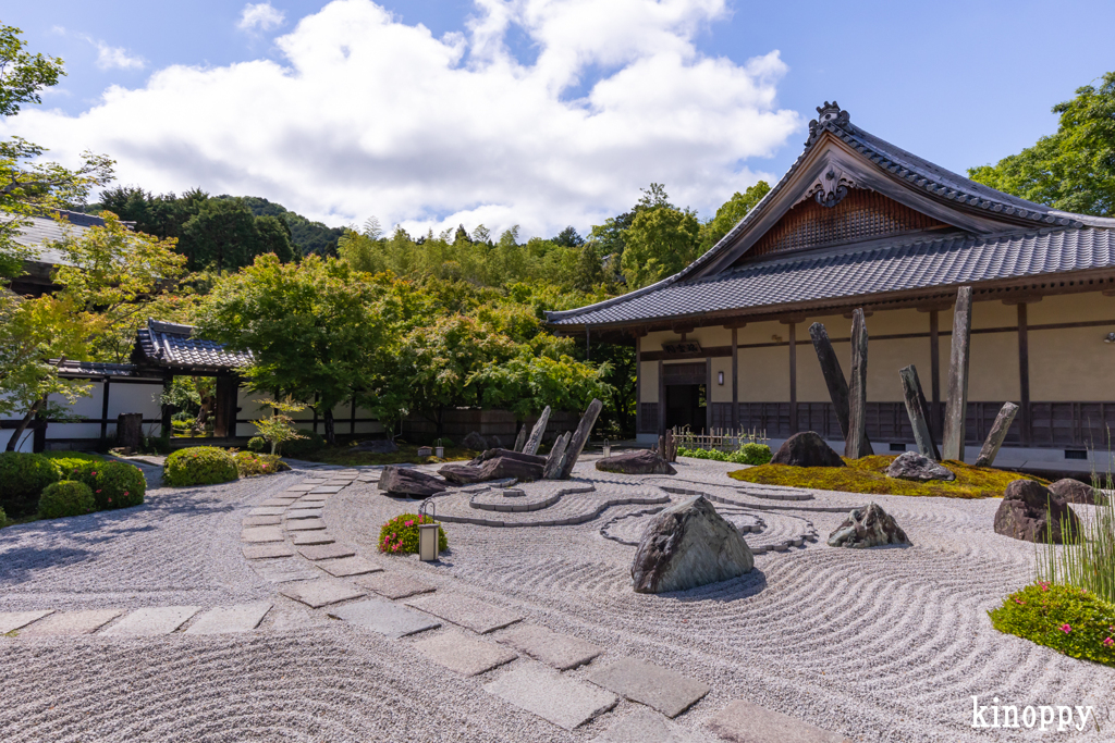 圓光寺 新緑 8
