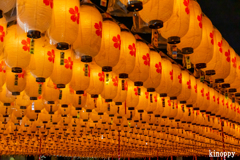 姫路靖國神社 新年万灯祭 3