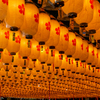 姫路靖國神社 新年万灯祭 3