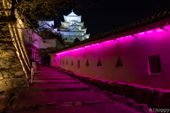 姫路城 シロノヒカリ 白鷺が輝く夜 7