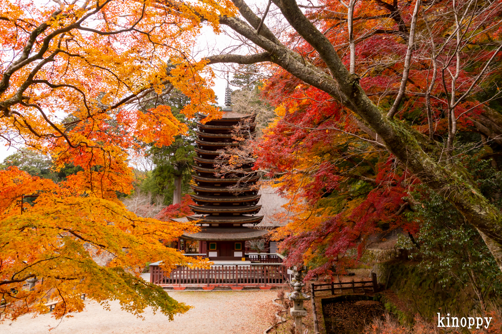 談山神社 紅葉 4