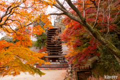 談山神社 紅葉 4